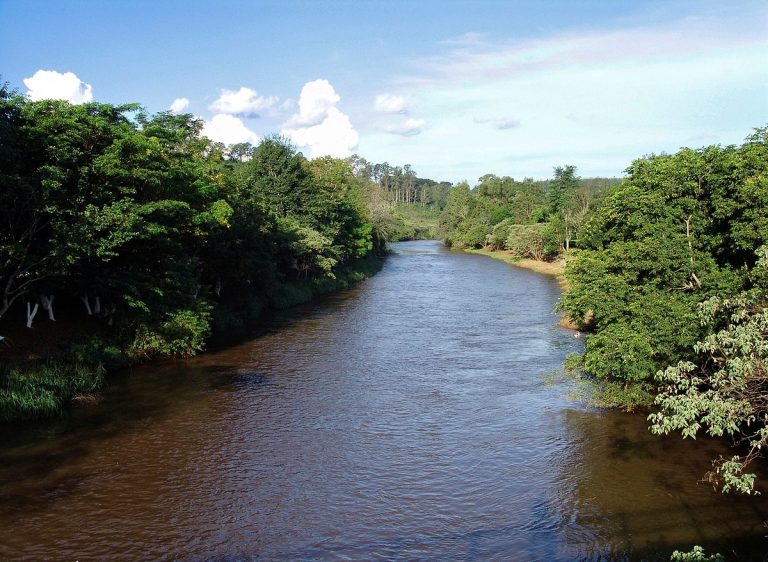 Imagem mostra trecho do rio Pardo